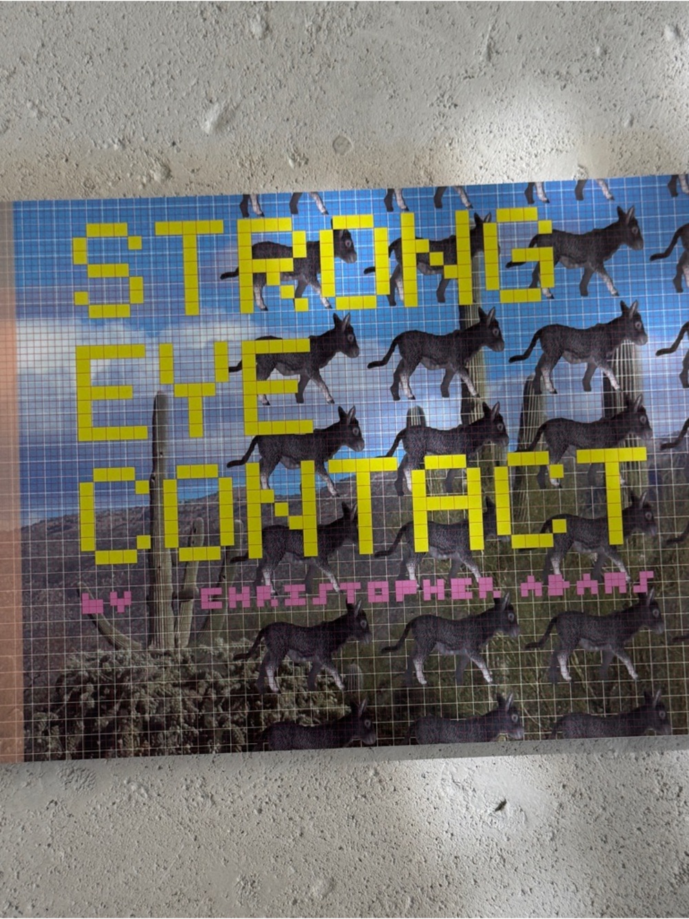 Strong Eye Contact by Christopher Adams